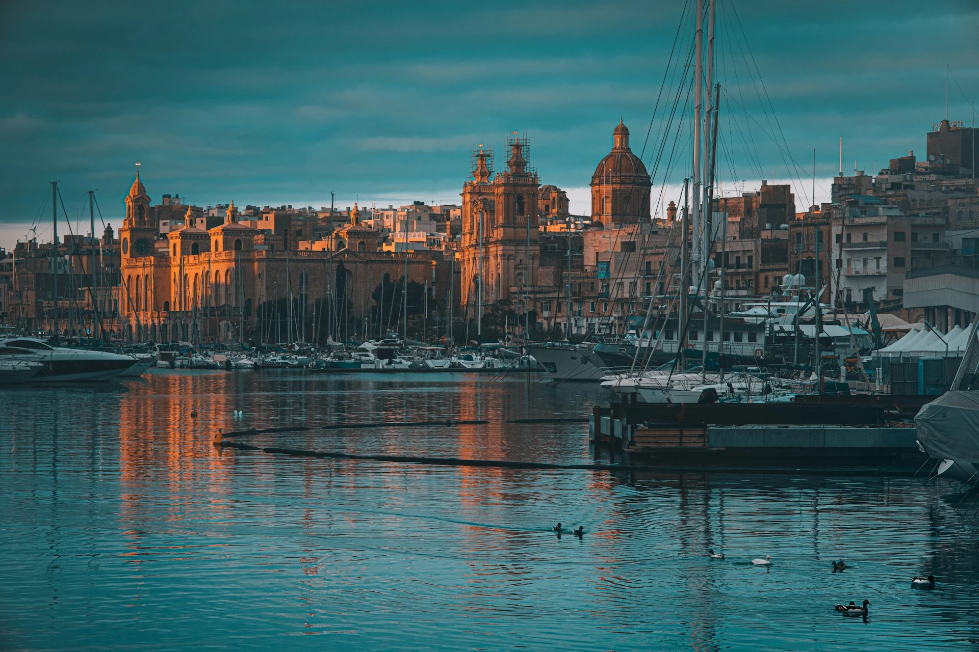 Malta-neil-farrugia